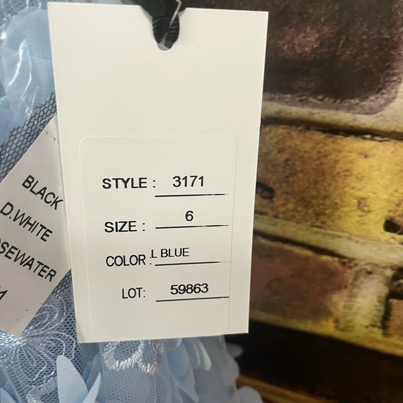 Prom/Homecoming Dress - Picture 4 of 5